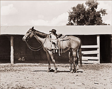 Vintage Photograph of Child and Horse