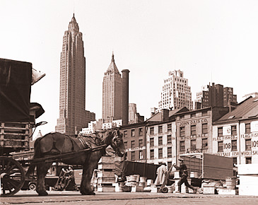 Vintage Photograph of NYC Skyline from Fulton St.