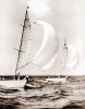 Image of #183