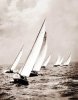 Image of #184