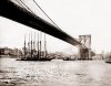 Image of #209