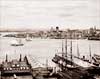 Image of #240